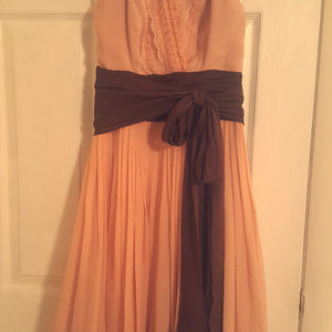 BCBG Max Azria Pink Chiffon Dress